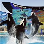 SeaWorld San Diego