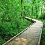 Conestee Nature Preserve