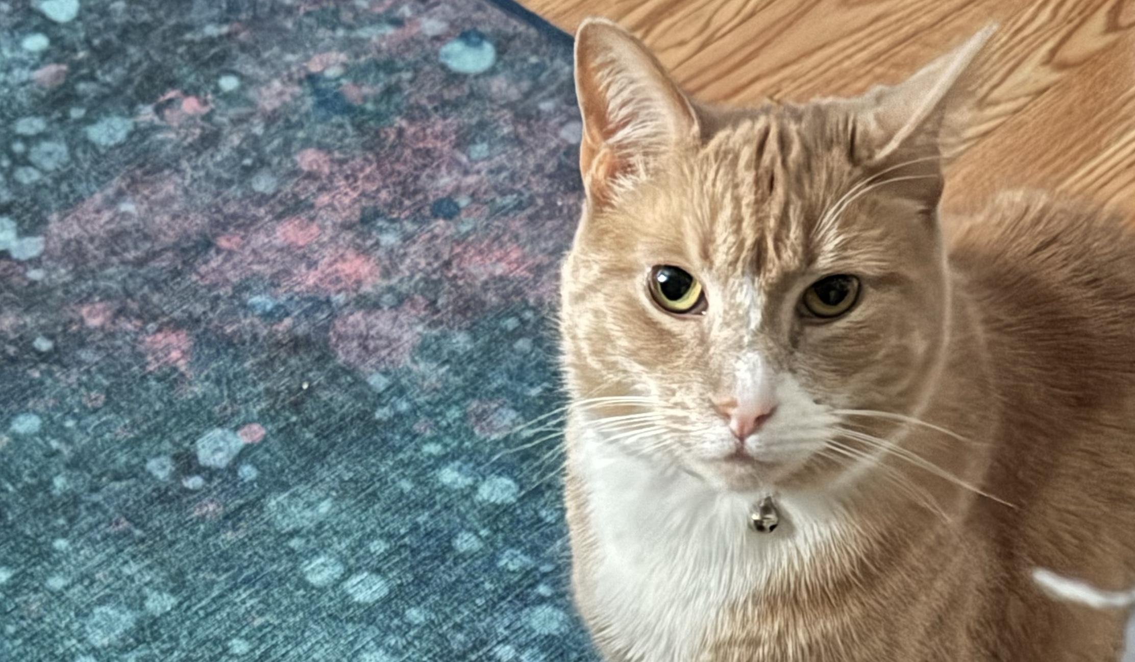 The Wedding Website of Tracey Glorioso and Mike Dougherty