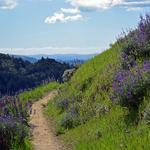 Sugarloaf Ridge State Park
