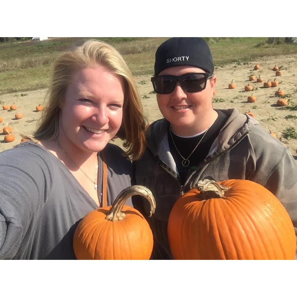 Pumpkin picking