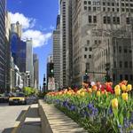 Magnificent Mile