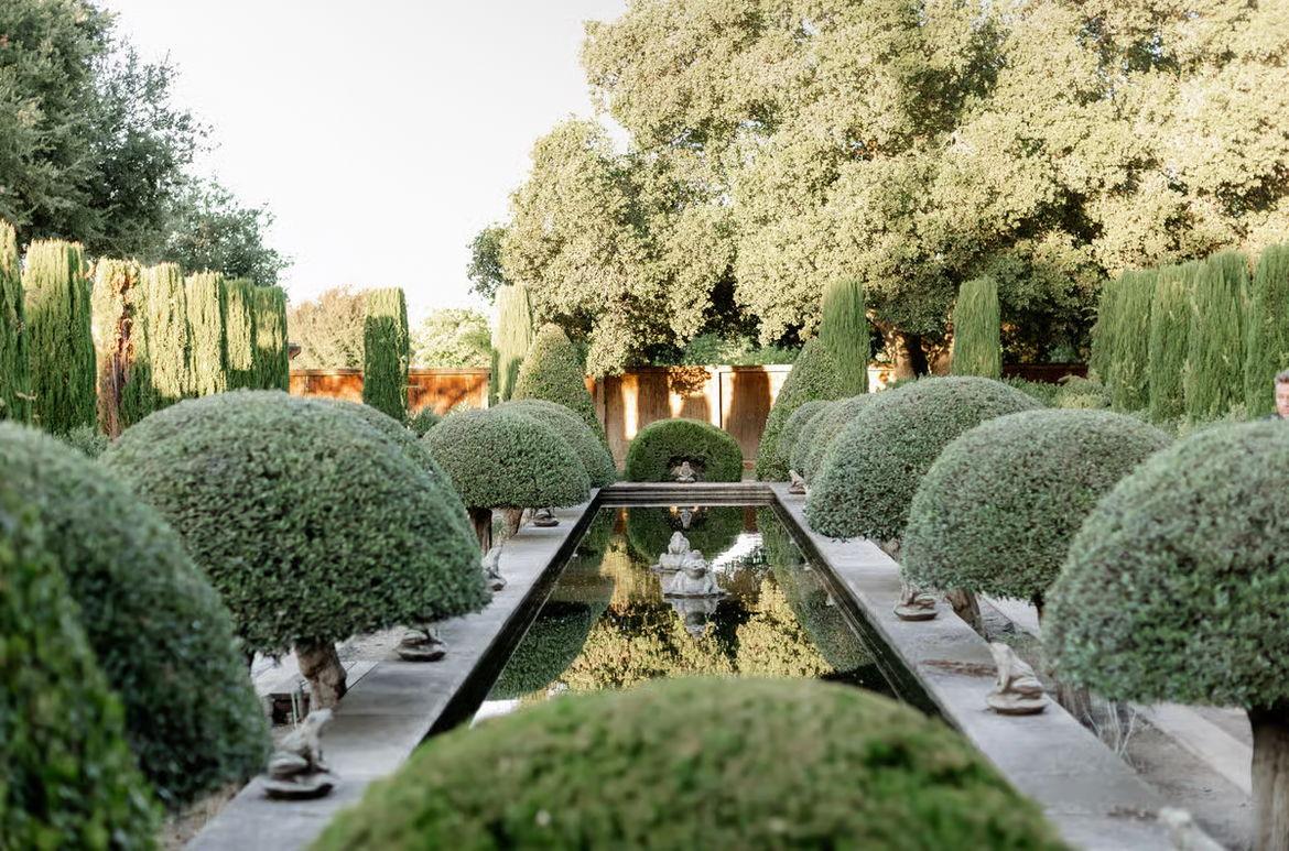 The Wedding Website of Ambiance Frazier and Donzale Ashley