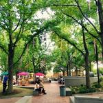 Spruce Street Harbor Park