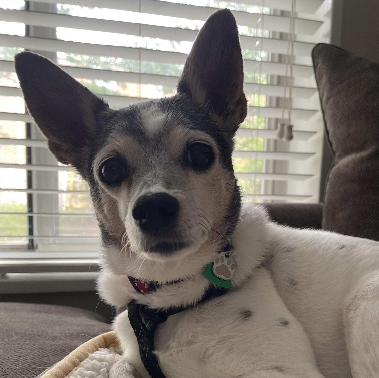 Millie!