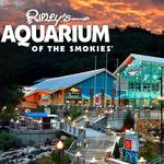 Ripley's Aquarium of the Smokies
