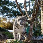 Central Park Zoo