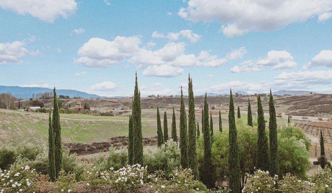 The Wedding Website of Angelina Holt and Matthew Acebedo