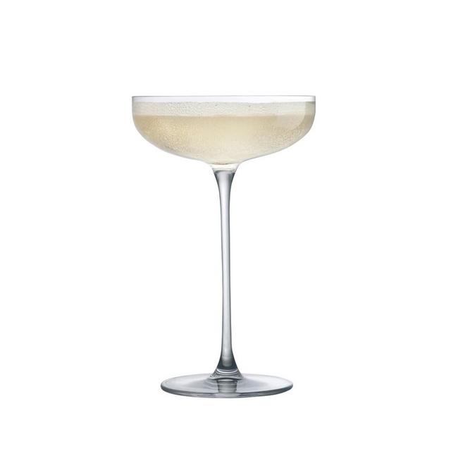 Nude Savage Coupe Glasses, Set of 2