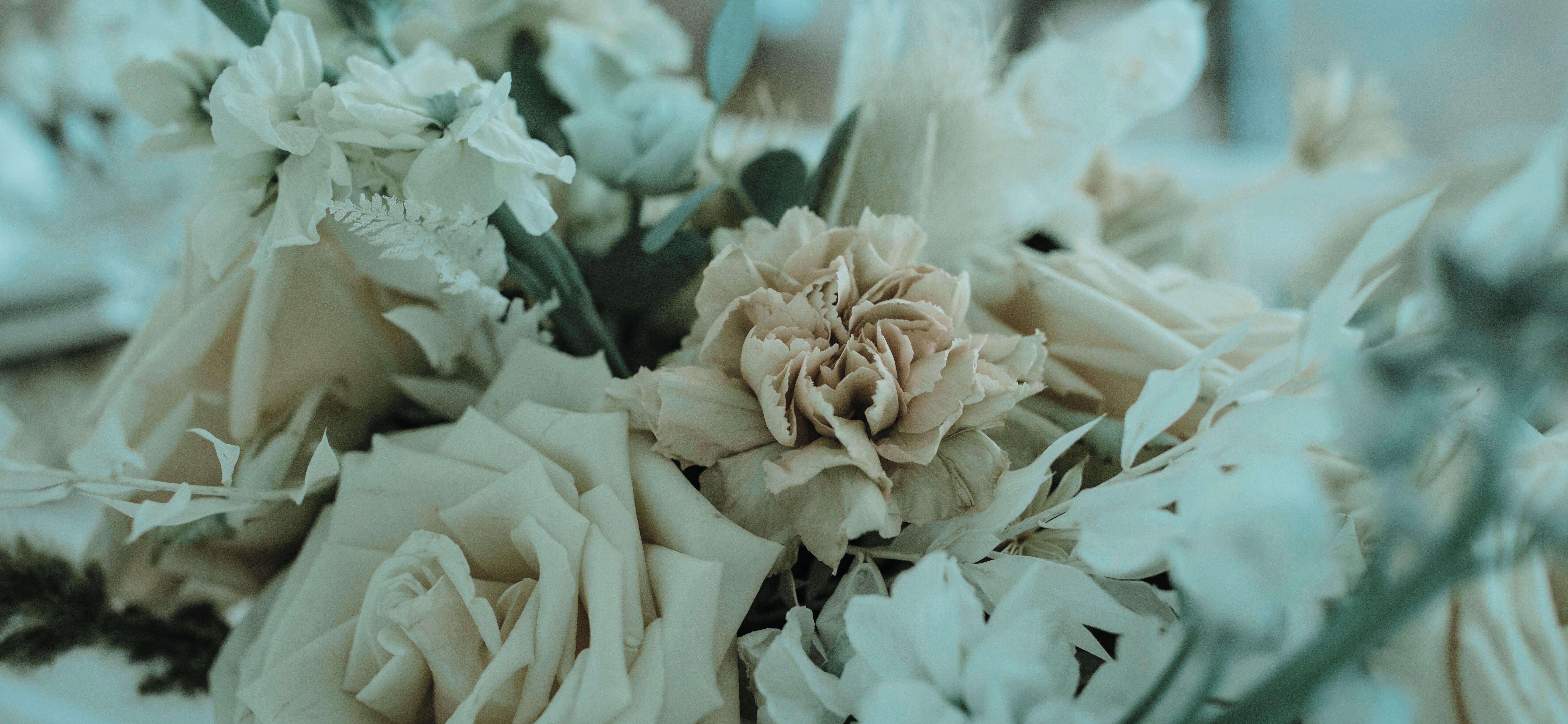 The Wedding Website of Toni-ann Lawrence and Ricardo Campbell