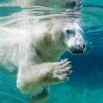 Point Defiance Zoo & Aquarium