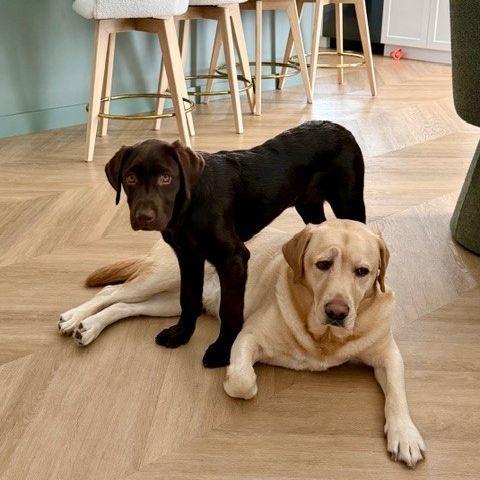 Best friends