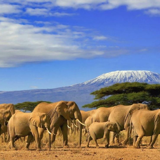Tanzania Visa For 2