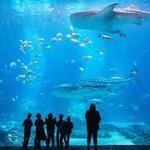 Georgia Aquarium