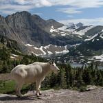 Glacier National Park