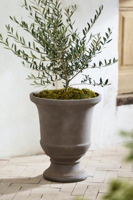 Concrete Fluted Edge Urn Planter