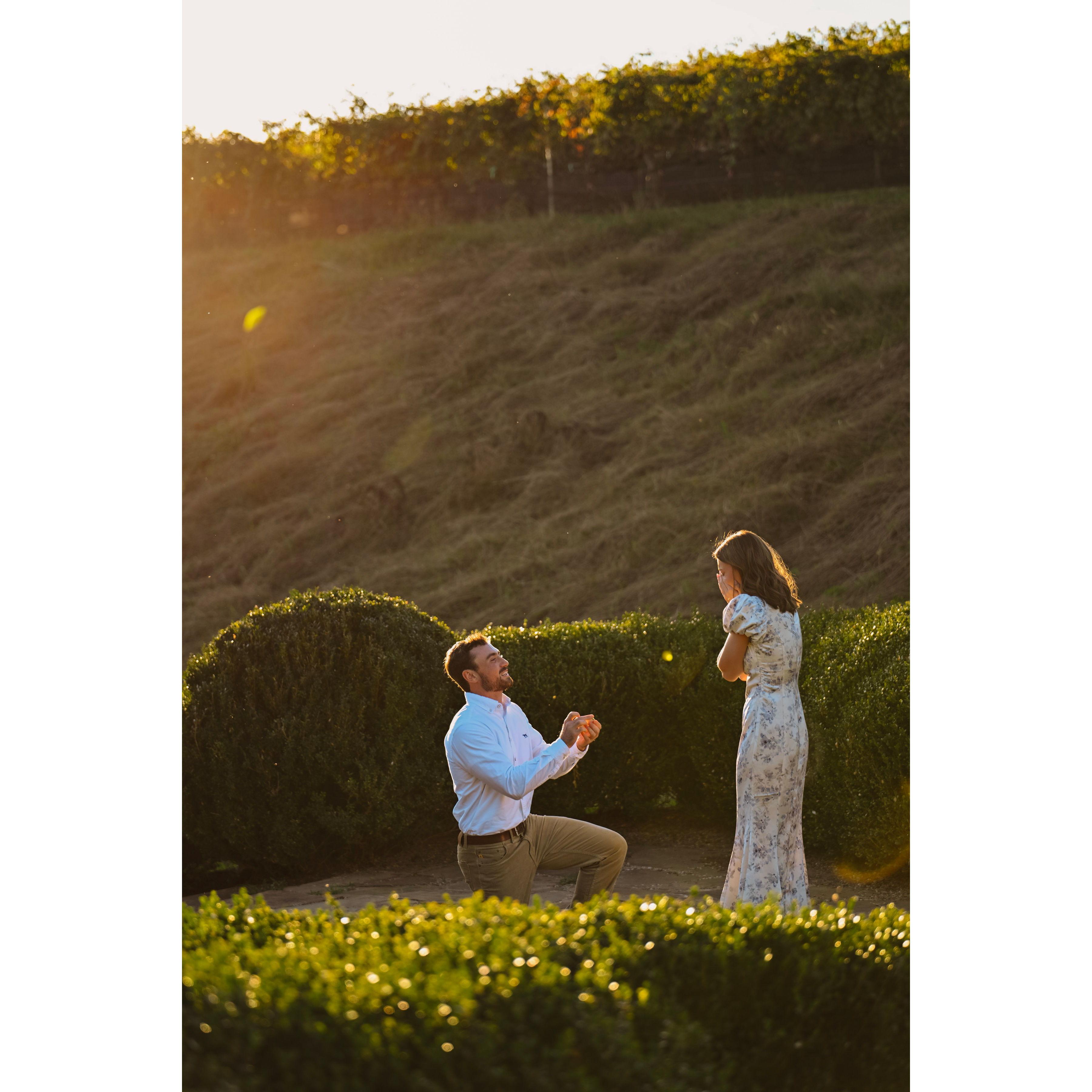 10.12.2024 - We got engaged at Montaluce Winery!