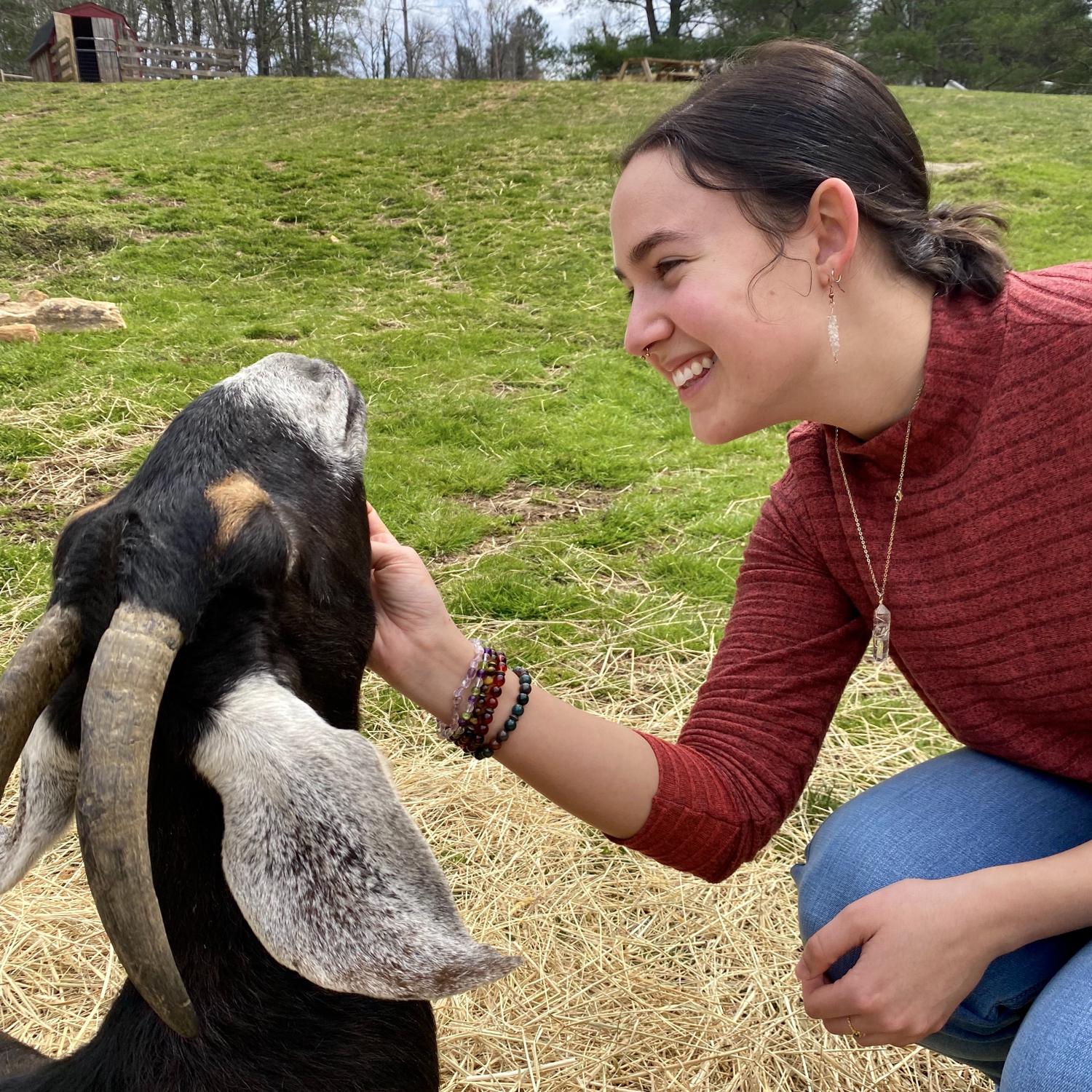 We are huge animal lovers ... we must pet them all !!