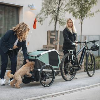 Bexey Dog Bike Trailer + Stroller