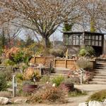 UC Santa Cruz Arboretum & Botanic Garden