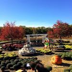 Secor Farms