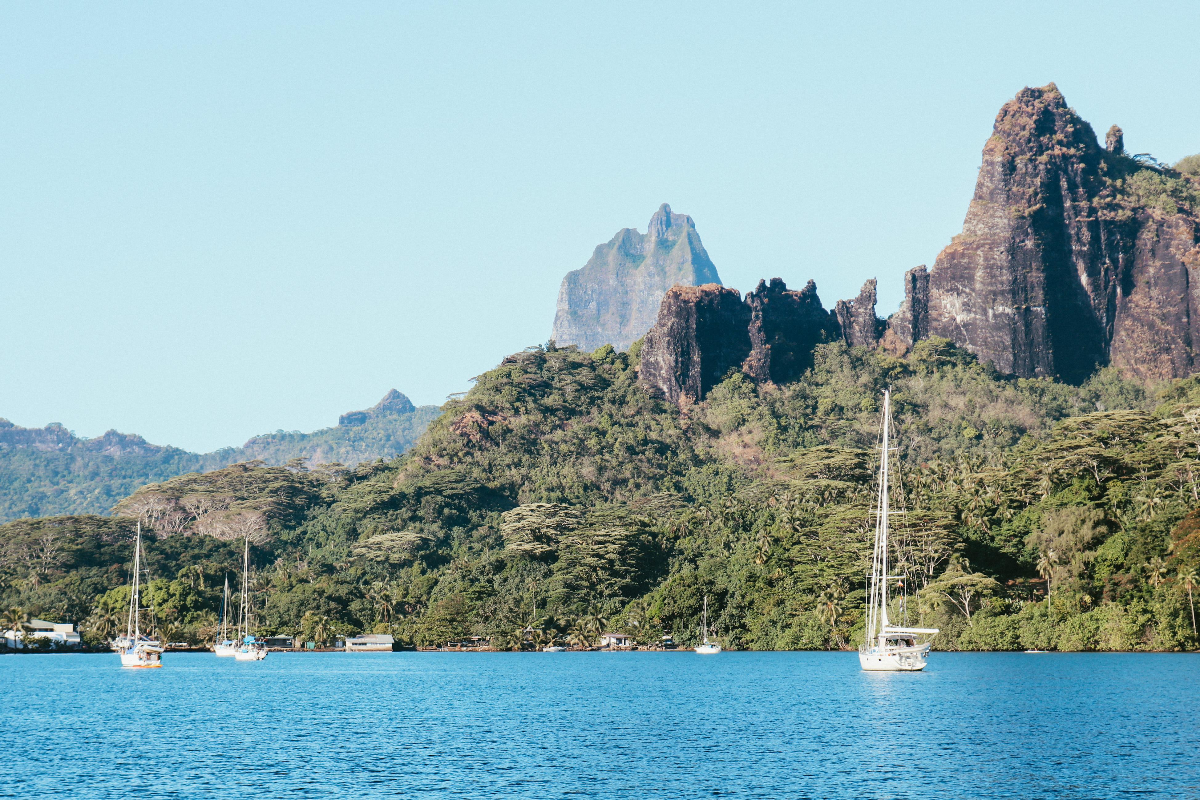 ba58cd1e-1240-4952-82e3-5be95da6d5c1