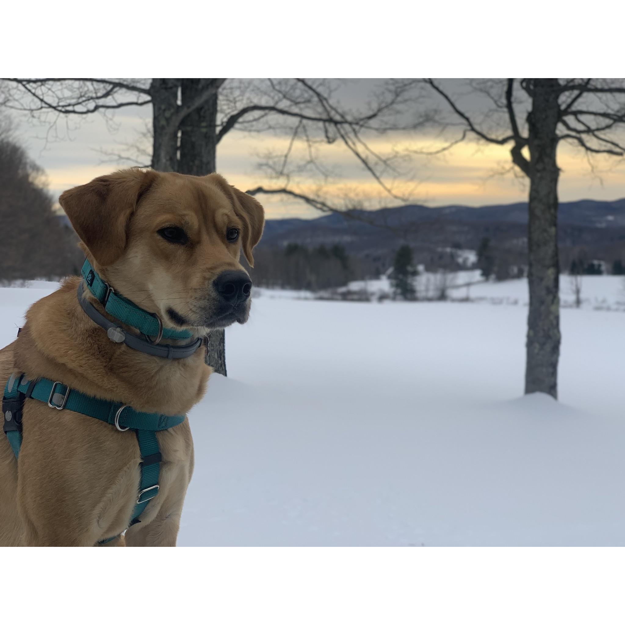 Murphy