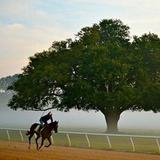 Aiken Training Track