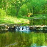 William B. Umstead State Park