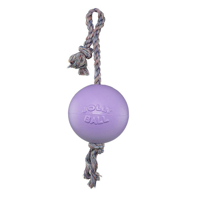 Jolly Pets Romp-n-Roll Rope and Ball Dog Toy, 6 Inches/Medium, Light Purple