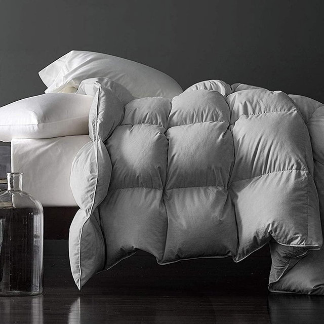 Royoliving Premium Silver Down Comforter Queen Full Size All Season Medium Warmth Gray Grey 100% Egyptian Cotton Cover Down Proof Duvet Insert with Corner Tabs, 50 Oz