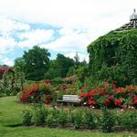 Elizabeth Park
