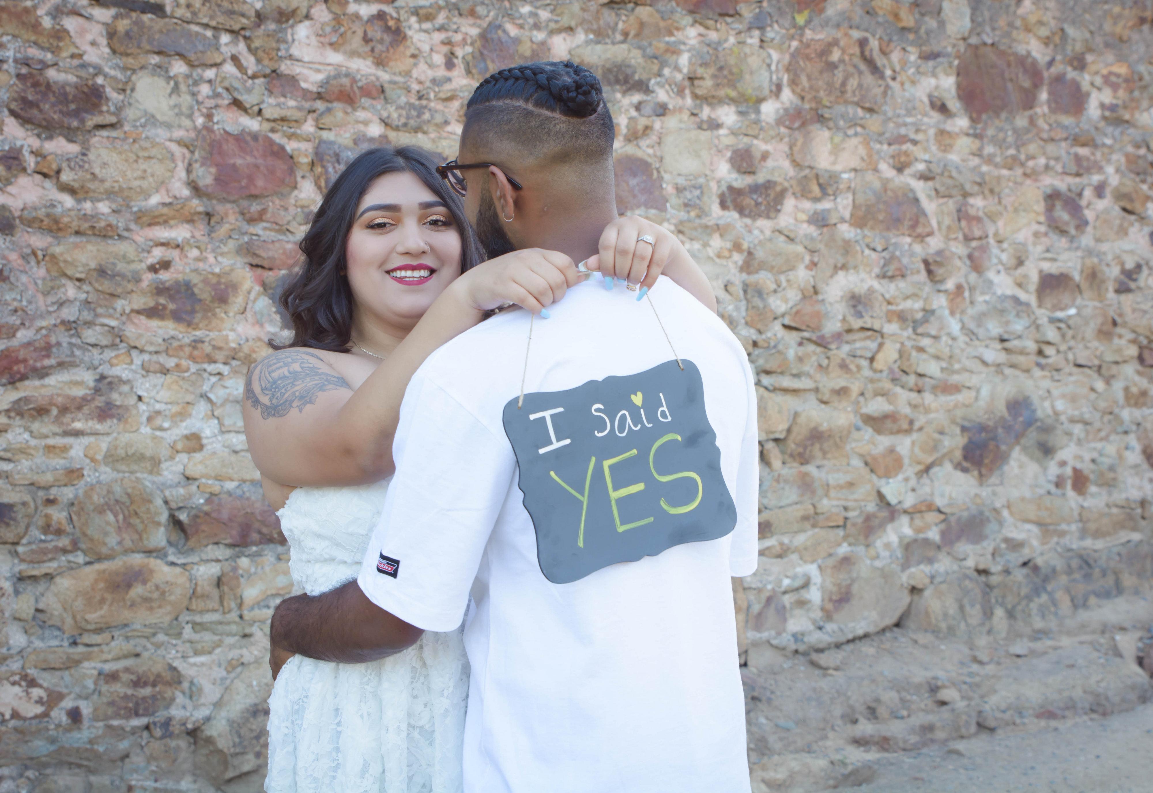 The Wedding Website of Aakash Kumar and Alaina Robles