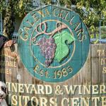 Galena Cellars Winery