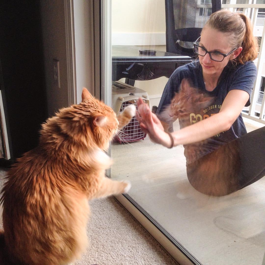 Patty cake with George.