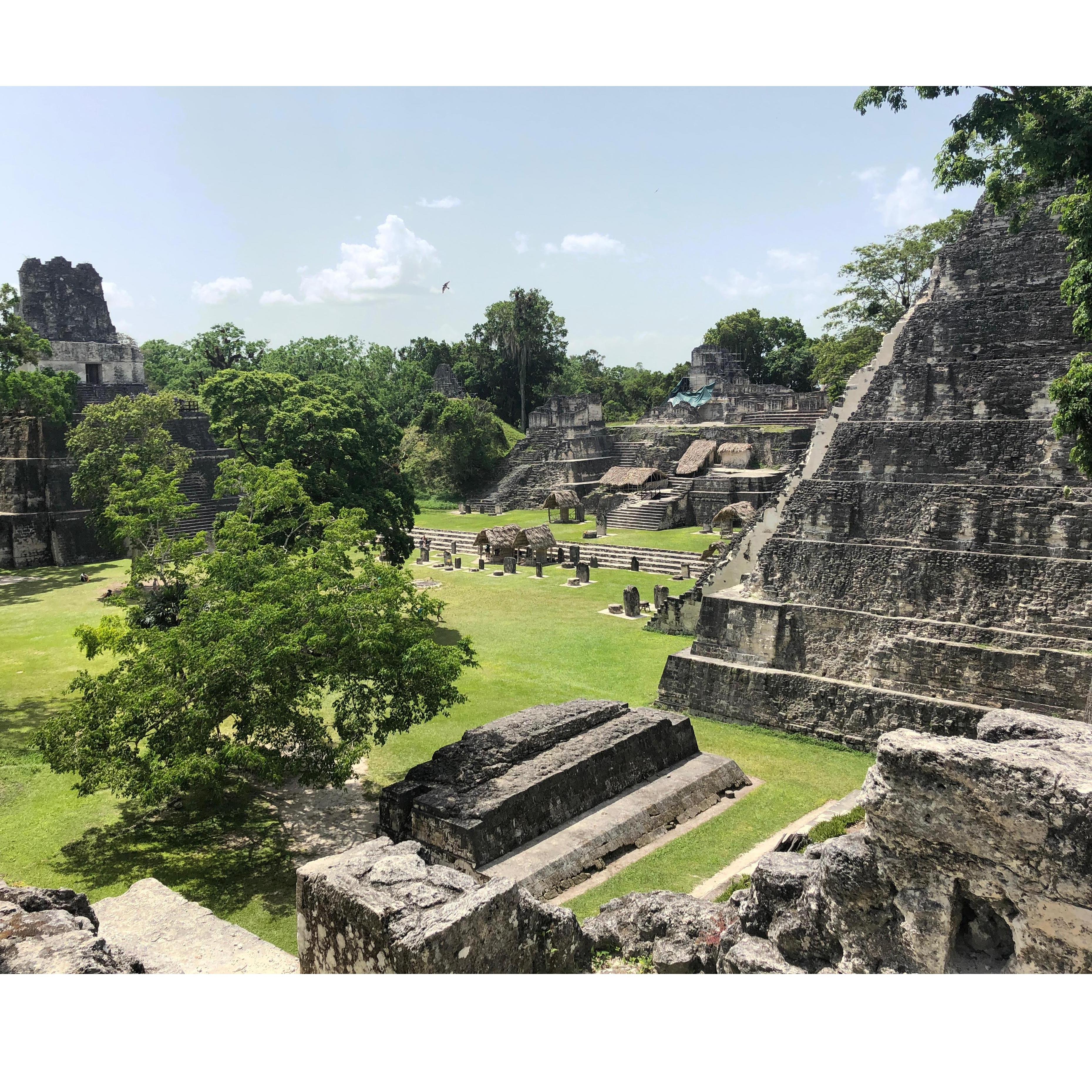 Tikal, Guatamala.... where Dan littered