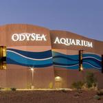 OdySea Aquarium