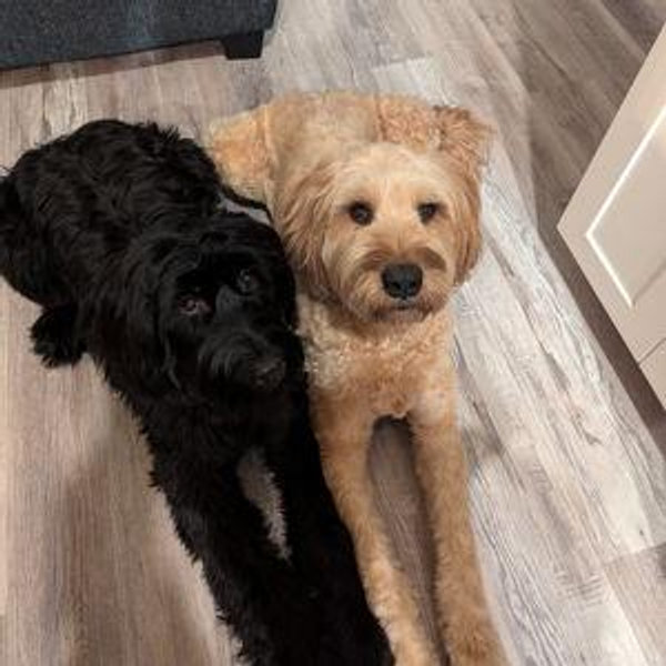 Baxter and Doris Toy Fund