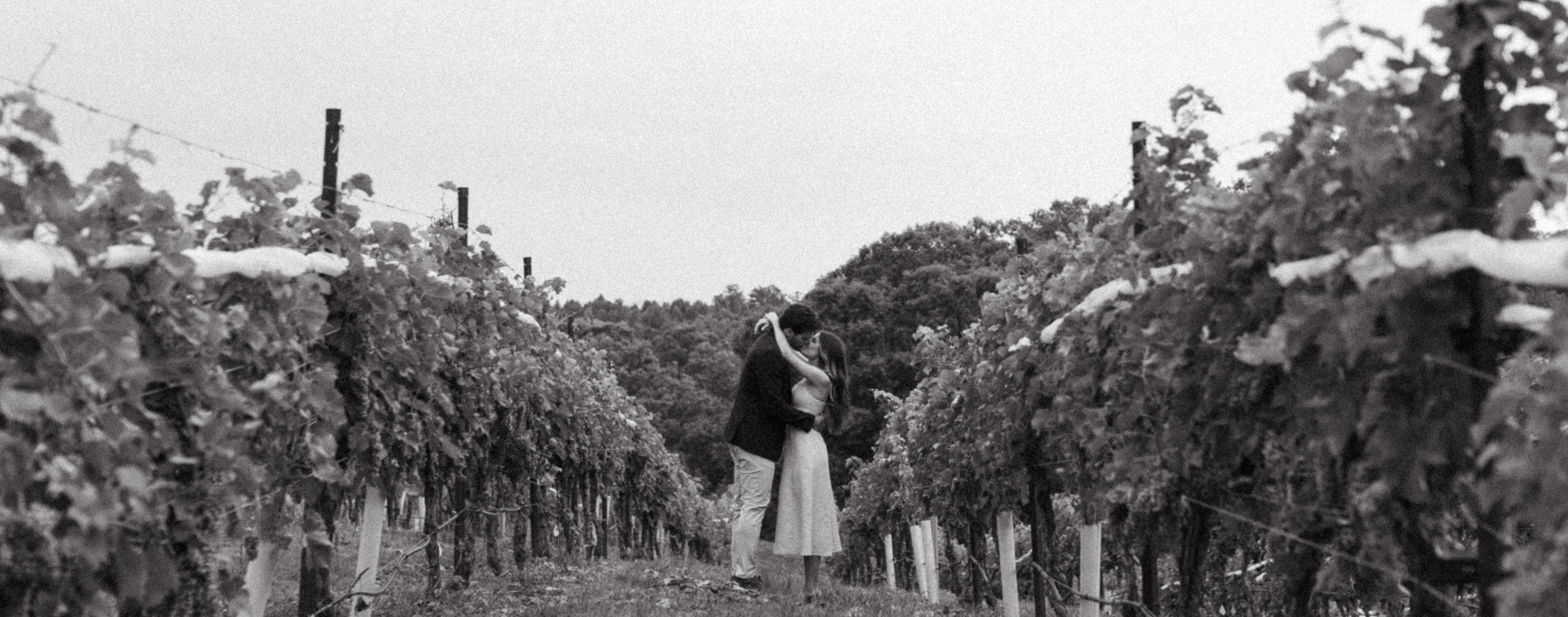 ba6931b4-b283-44a7-89db-0b08a763beba