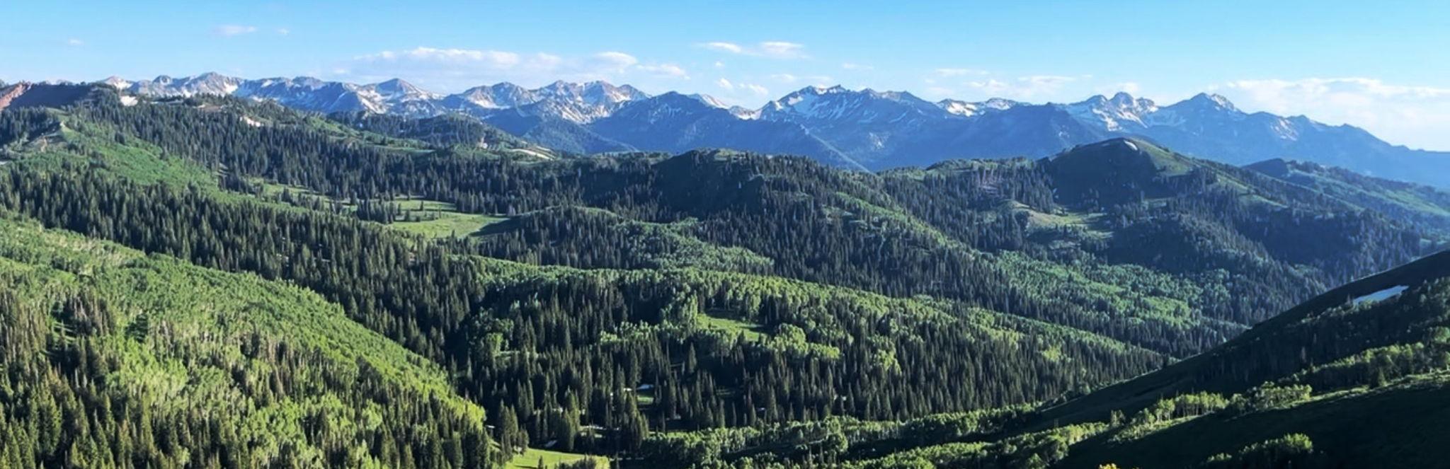 The Wedding Website of Brian Dickerson and Caitlin Shaw