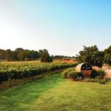 Arrington Vineyards