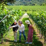 GranMonte Vineyard and Winery