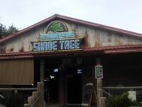 Shade Tree Saloon & Grill