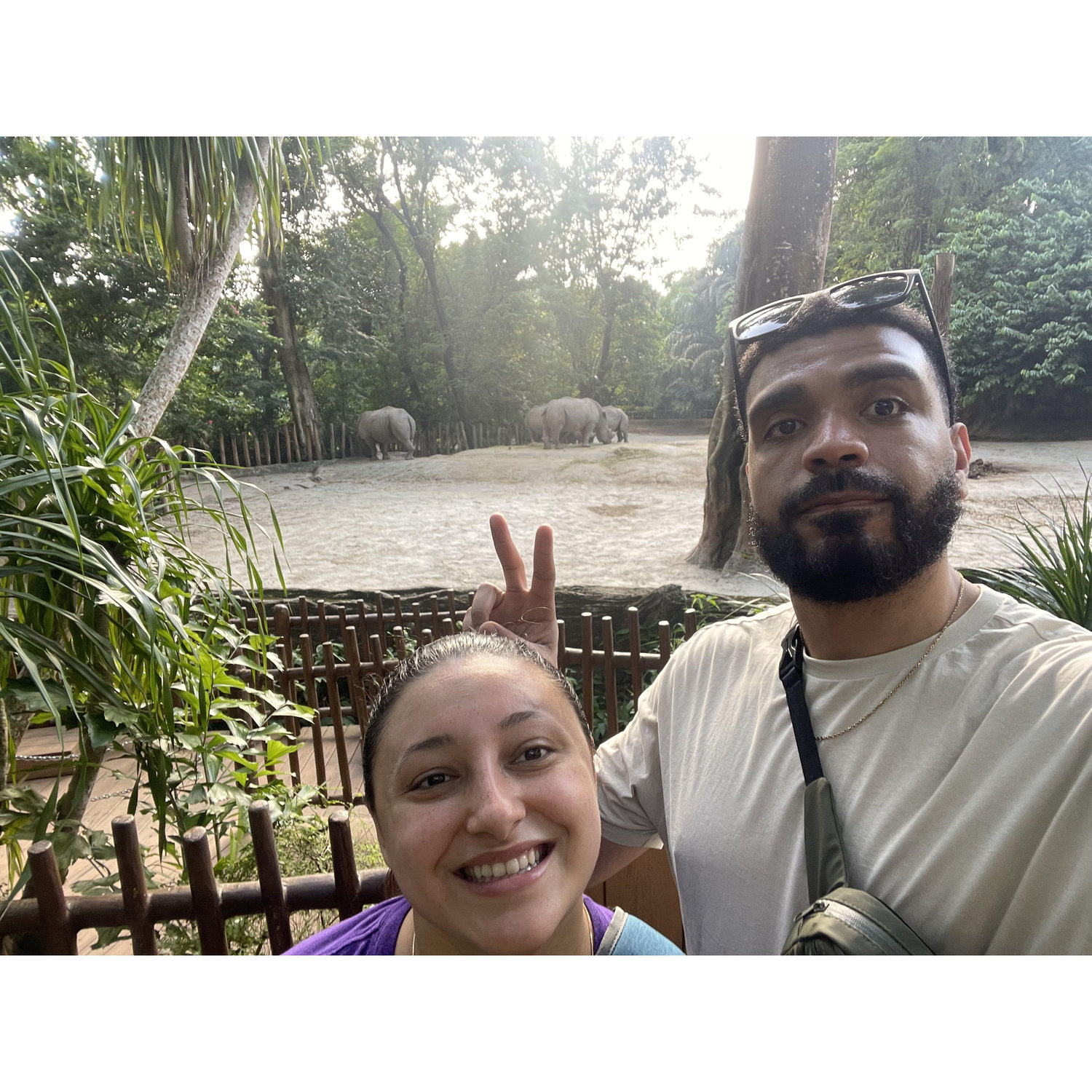 Hanging with the ell-ees at the Singapore Zoo (March 2024)