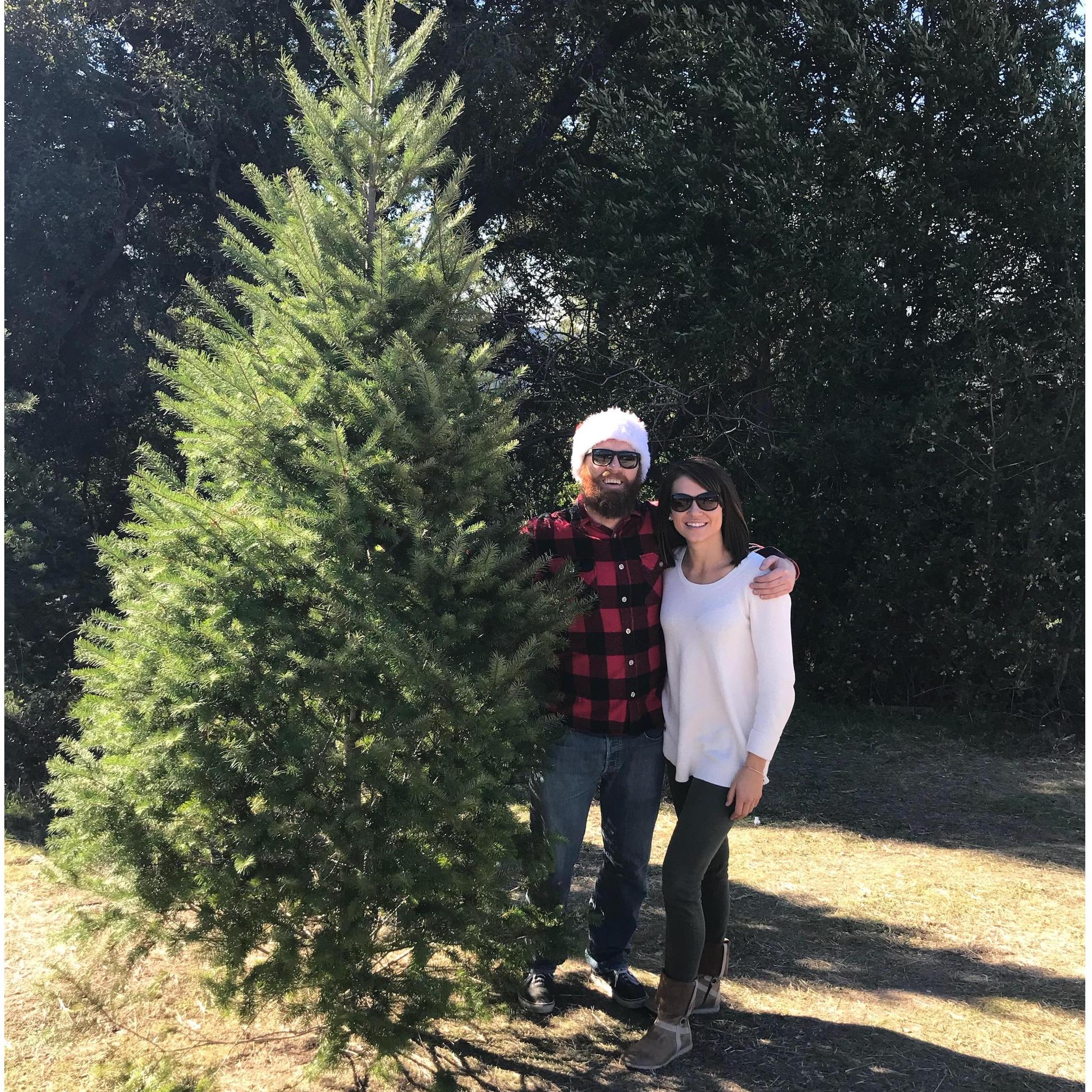 Keeping up the Volheim family tradition, and cutting down our first Christmas tree together.