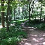 Lewis Morris Park