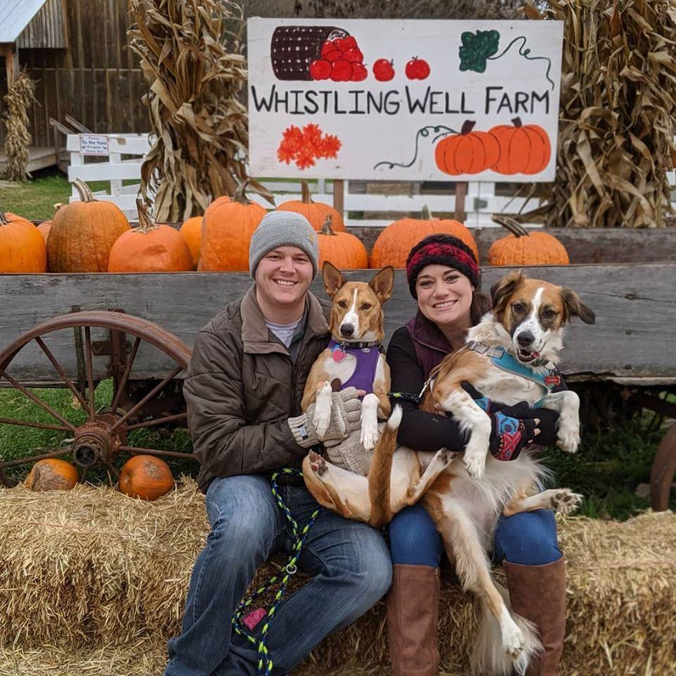 Pumpkin Picking with the Pups!!