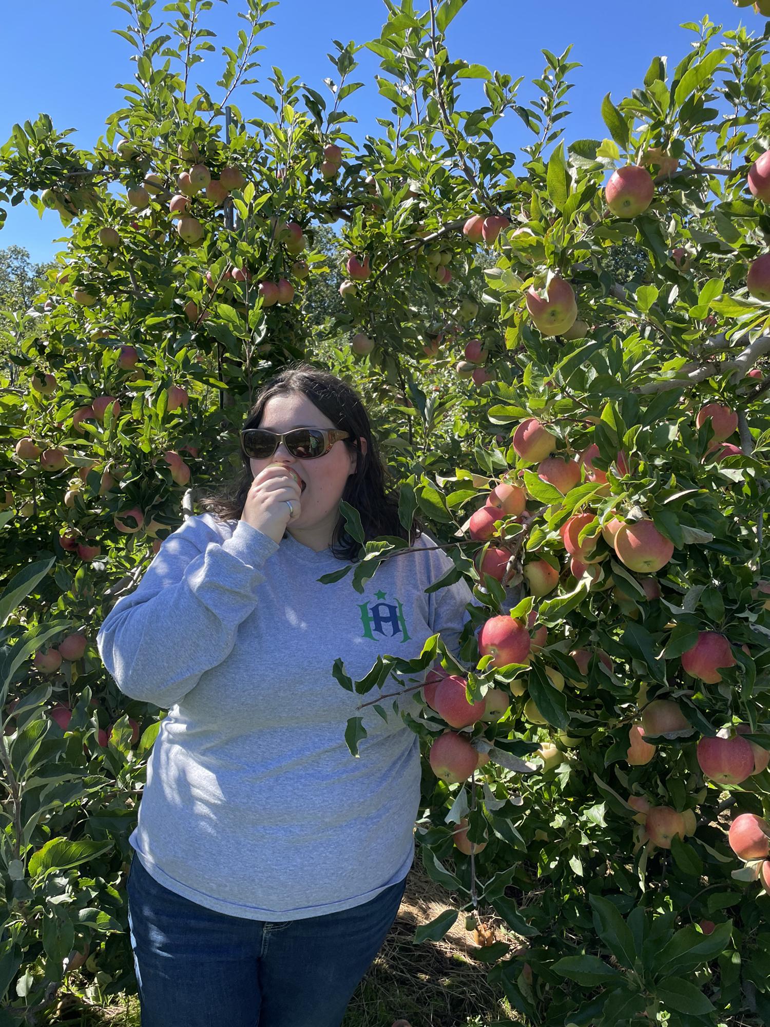 Apple Picking at Karabin Farms, Southington, Connecticut- 2021