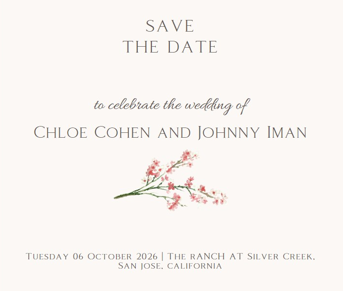 The Wedding Website of Chloe Cohen and Johnny Iman