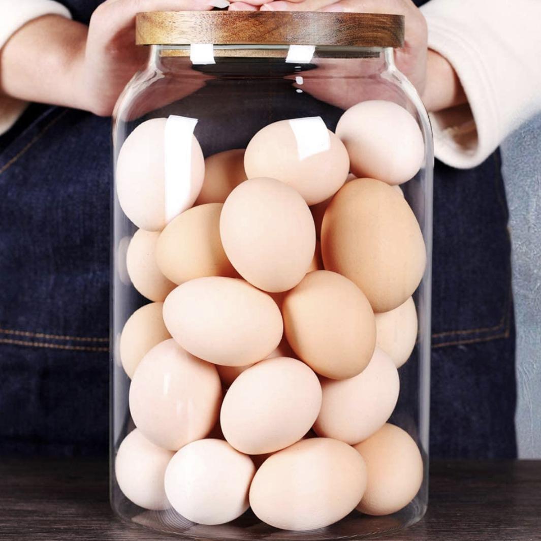 SAIOOL Egg Jar,kitchen canister， 1 Gallon Large Glass Food Storage Jars with Airtight Lid, Clear